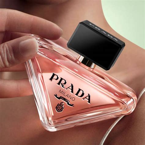 prada oaradix|Prada paradox best price.